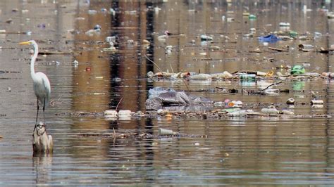 Petition · Clean the Hudson River - United States · Change.org