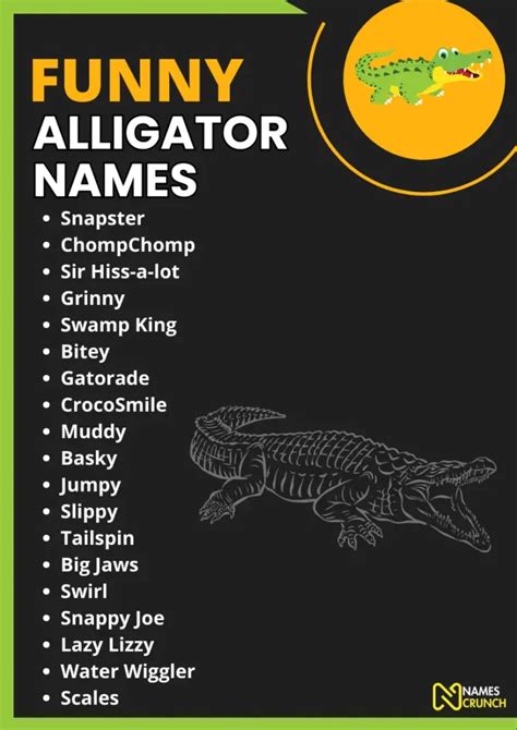 380+ Funny Alligator Names [Clever Ideas] - Names Crunch