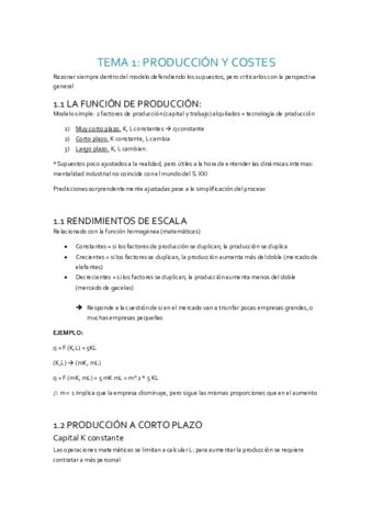 Apuntes Tema 1 Produccion Y Costes Pdf