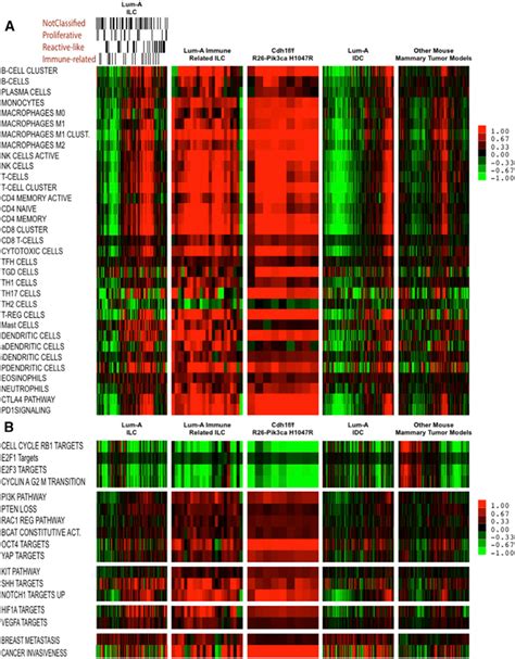 Cdh1 And Pik3ca Mutations Cooperate To Induce Immune Related Invasive