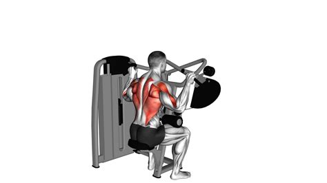 Lever Cross Lat Pulldown Male Video Guide Tips