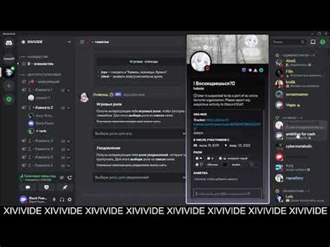 XIVIVIDE - YouTube
