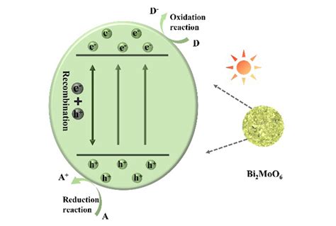 钼酸铋在光催化技术中的改性与应用 上海善施科技