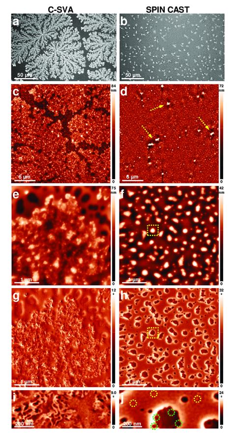 Optical Micrographs Ab And Afm Height C F And Phase G J Images