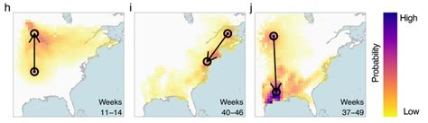 Forecast Distributions Image Eurekalert Science News Releases