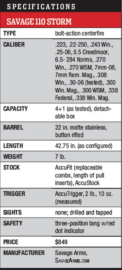 Savage 110 Storm Review - RifleShooter