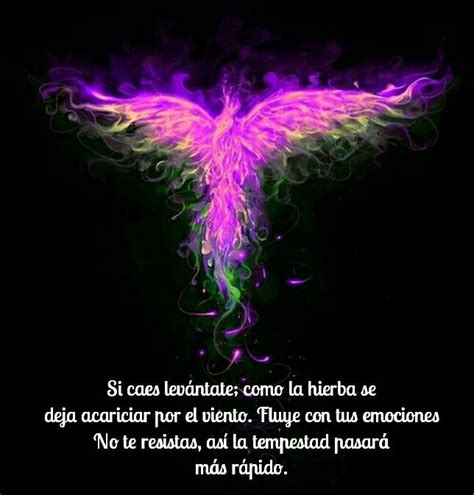 Ave Fenix Frases Bonitas Frases Ave Fenix Frases Bonitas De Libros