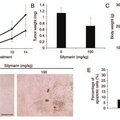 Effects Of Silymarin On AGS Gastric Cancer Tumor Xenograft Growth And