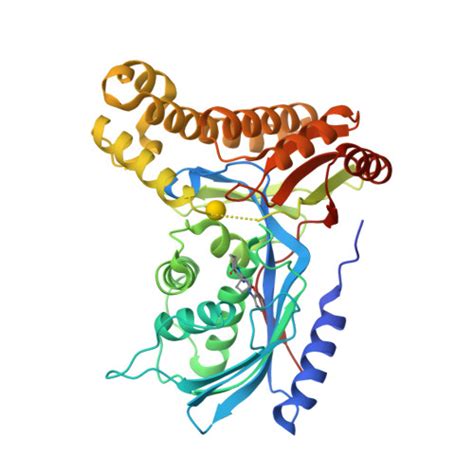 RCSB PDB 6ZFH Structure Of Human Galactokinase In Complex With