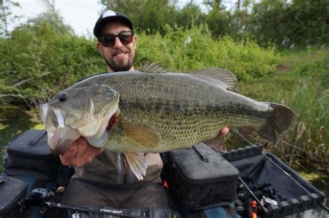 Dpsg Des Poissons Si Grands