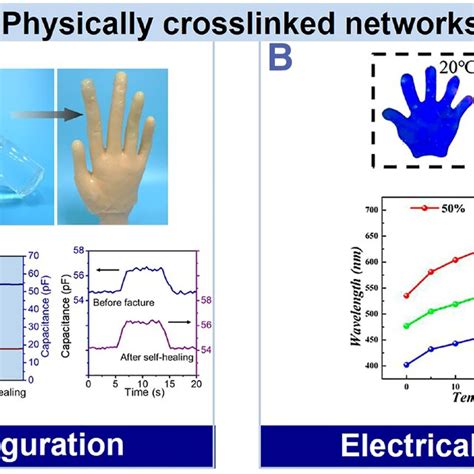 Self‐diagnostic Applications Of Bio‐inspired Ionic Skins Via Thermal