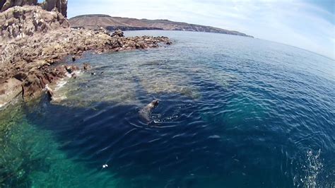 La Lobera Espíritu Santo Bcs Youtube