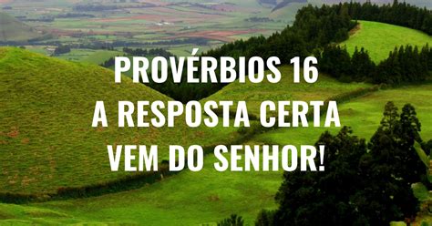 Prov Rbios A Resposta Certa Vem Do Senhor