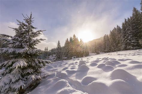 Bright High Alpine Winter Scenery With Fresh Snow And Mist In The