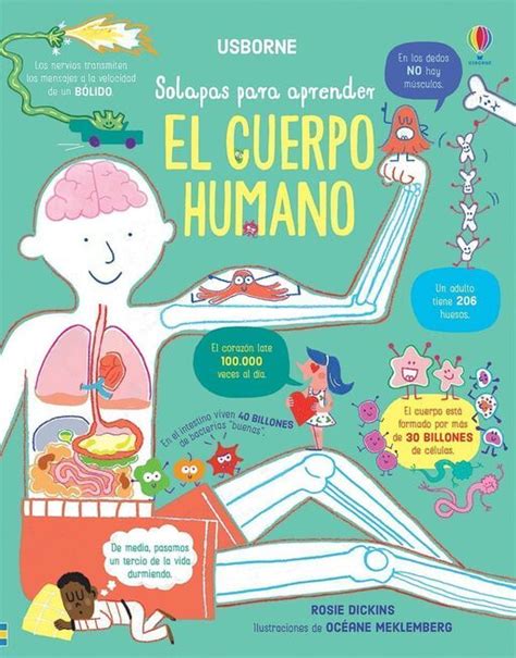 El Cuerpo Humano Solapas Para Aprender Mateo Leo