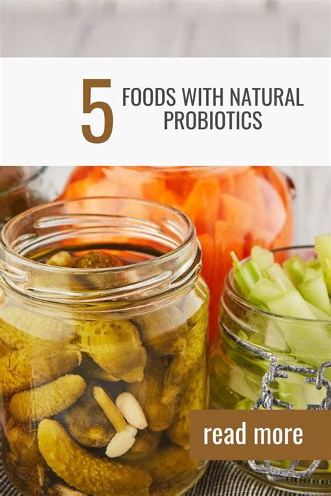 Foods with Probiotics: Improve Gut Health Naturally