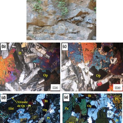 Macroscopic And Microscopic Aspects Of Gabbros A Macroscopic