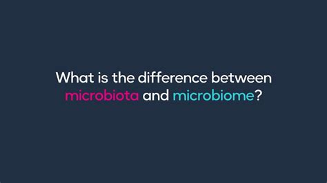 What Is The Difference Between Microbiota And Microbiome Youtube