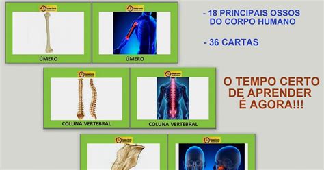 Inove Na Escola Jogo Da Mem Ria Ossos Do Corpo Humano R