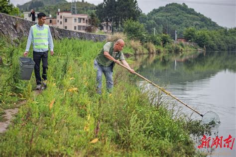 蓝山：“双河长”共护湘江源头碧水清流 永州 新湖南