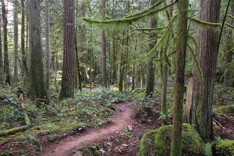 Hidden Grove near Sechelt | Vancouver Trails