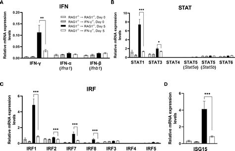 Frontiers Ifn Production By Brain Resident Cells Activates Cerebral