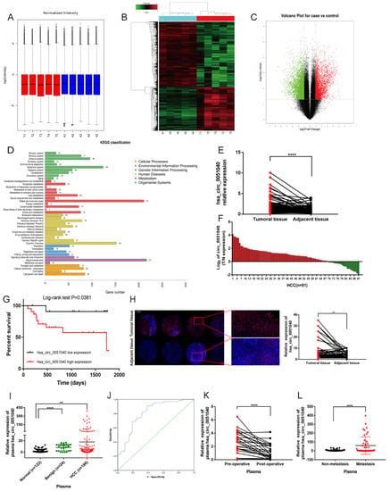 Cells Free Full Text Circular RNA Hsa Circ 0051040 Promotes