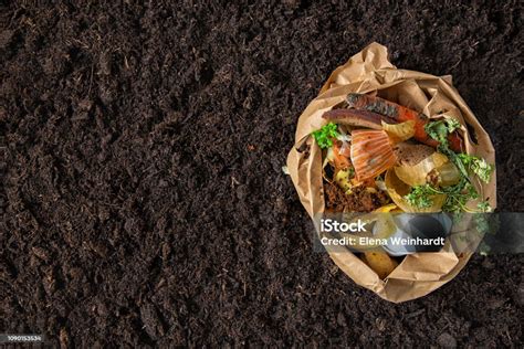 Foto De Controle Ambiental Classificação De Resíduos De Alimentos Nos