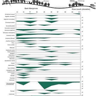 Mangrove Zonation Pattern And Pollen Assemblage Diagram Along The