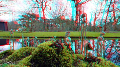 Trompenburg Rotterdam 3D Anaglyph Stereo Red Cyan D7000 Si Flickr