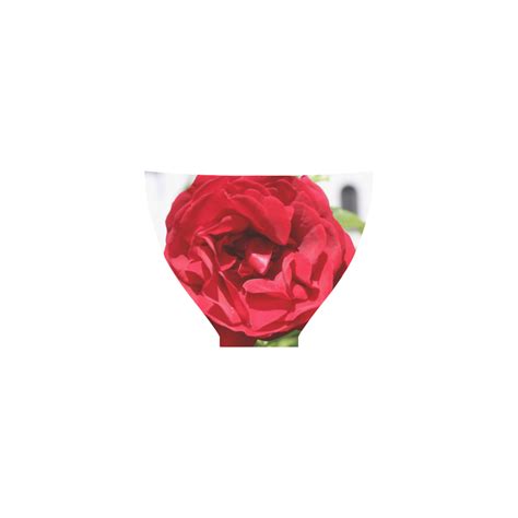 Red Rose Custom Bikini Swimsuit ID D