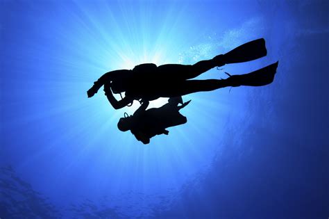 PADI Underwater Navigator Specialty New Horizons Dive Centre