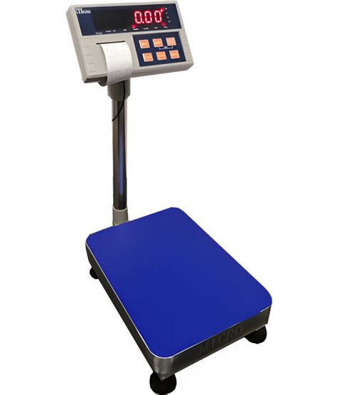 Micro A12 E Platform Scale Sasco Weighing Warehouse