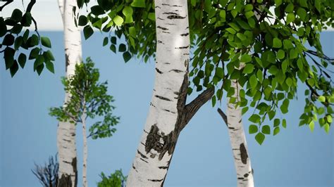 Birch Bark Textures Flippednormals