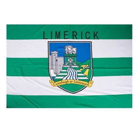 Official Limerick GAA Flag | Flags2u