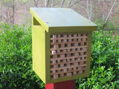 Create A Pollinator House Hgtv