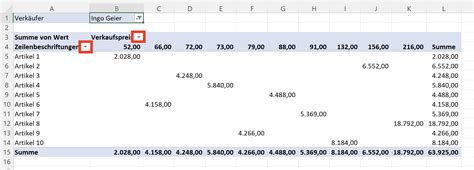 Daten Filtern In Pivot Tabellen Excel