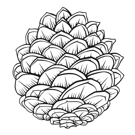 Pine Cone Coloring Pages