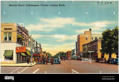 Monroe Street Tallahassee Florida Looking North Cities And Towns Tichnor Brothers Collection