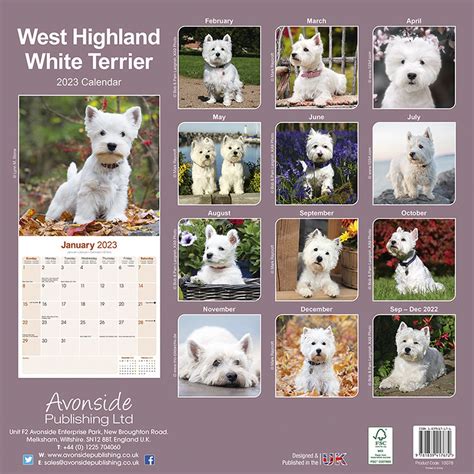 West Highland White Terrier Kalender Bol