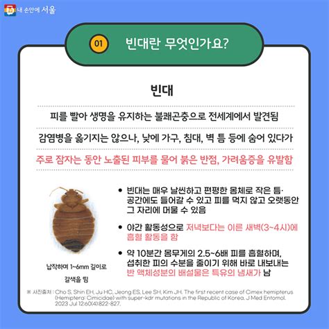 서울시 내 손안에 서울