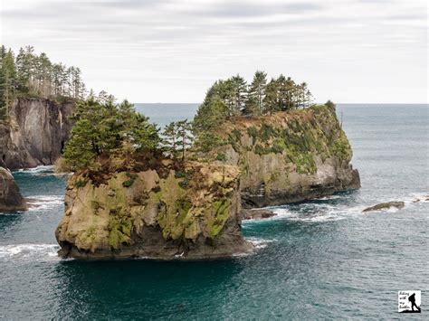 Cape Flattery Trail | Hiking with my Brother