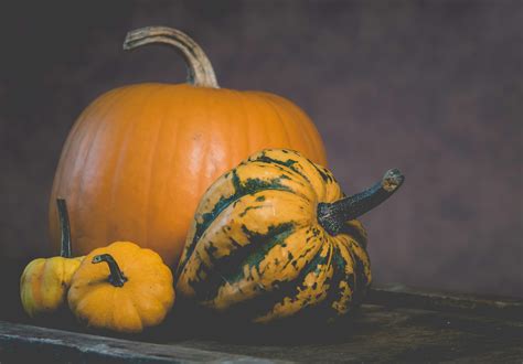orange squashes  brown wooden panel  stock photo
