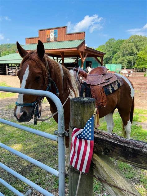 BEAVERS BEND DEPOT TRAIL RIDES Updated January 2025 35 Photos