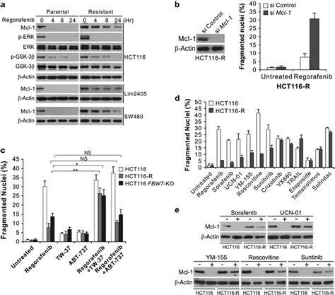 Regorafenib Resistant Cells Are Re Sensitized By Mcl Inhibition And