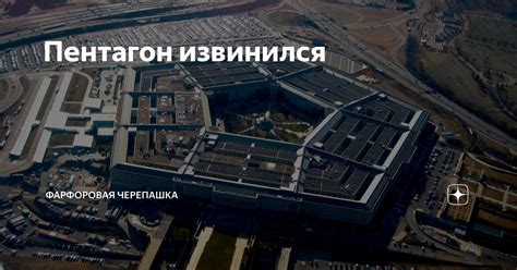 Пентагон извинился | Фарфоровая черепашка | Дзен