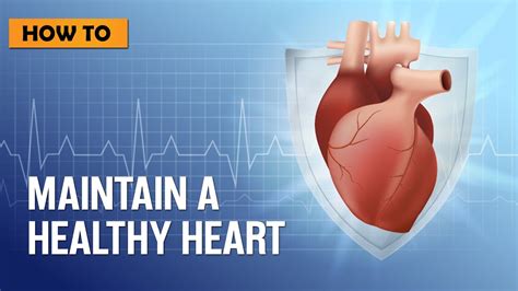 How To Maintain A Healthy Heart Youtube