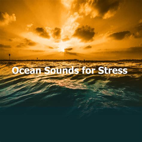 Fresh Open Beach M Sica E Letra De Calm Ocean Sounds Spotify