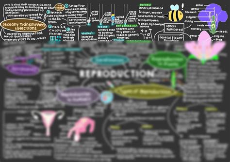 Solution Reproduction Mind Map Studypool