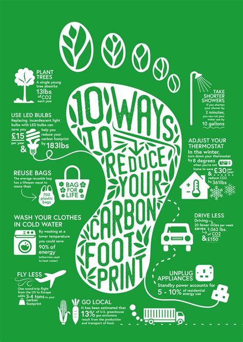 What Can YOU Do To Reduce Your Carbon Footprint Carbon Footprint